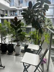 8 @ Mount Sophia (D9), Condominium #535305781